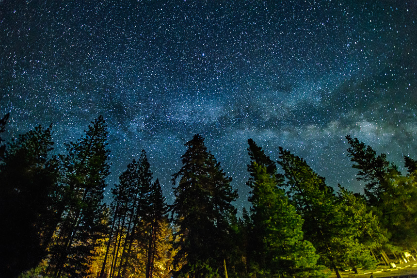 photograph of the night sky and milky way galaxy horizontally above a row of trees