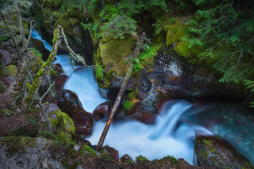 Avalanche Creek | Dustin Wong Photography