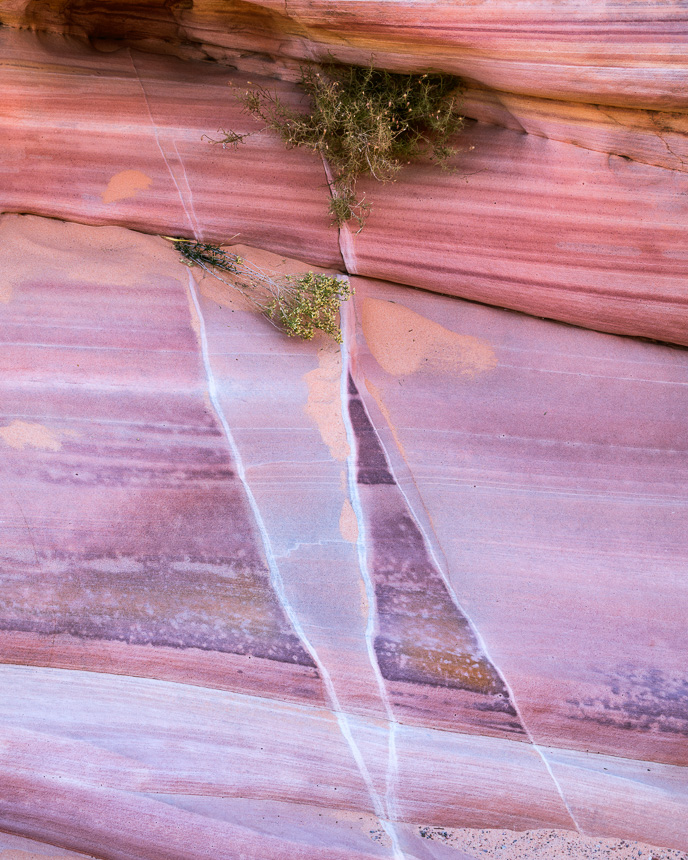 Abstract photo of colored sandstone rock in the Nevada Desert